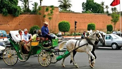 tourisme à Marrakech