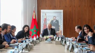 AGENCE MAROCAINE DE DEVELOPPEMENT DES INVESTISSEMENTS ET DES EXPORTATIONS