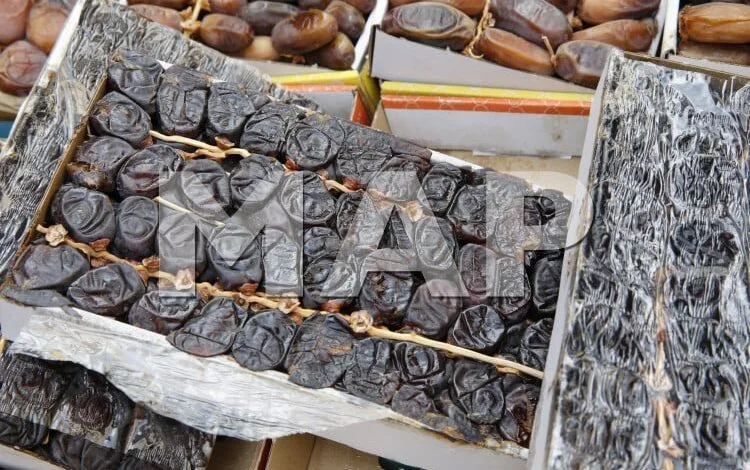 Les dattes Bousthammi sont riches en nutriments et en fibres / Crédit: MAP