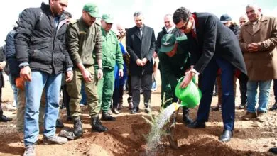 ABL Aviation lance un projet de plantation de 100 hectares de cèdres au Maroc