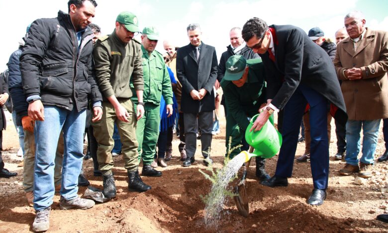 ABL Aviation lance un projet de plantation de 100 hectares de cèdres au Maroc