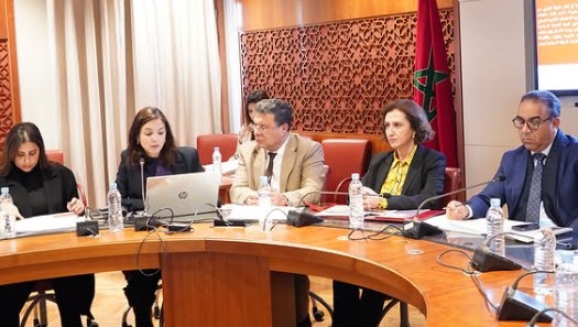 la ministre du Tourisme, de l’Artisanat et de l’Économie sociale et solidaire, Fatim-Zahra Ammor