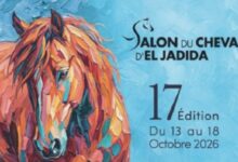 Salon du Cheval d'El Jadida